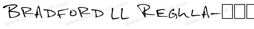 Bradford LL Regula字体转换